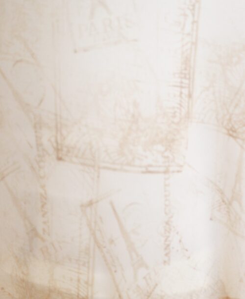 Sheer Overlay Top – ST-702